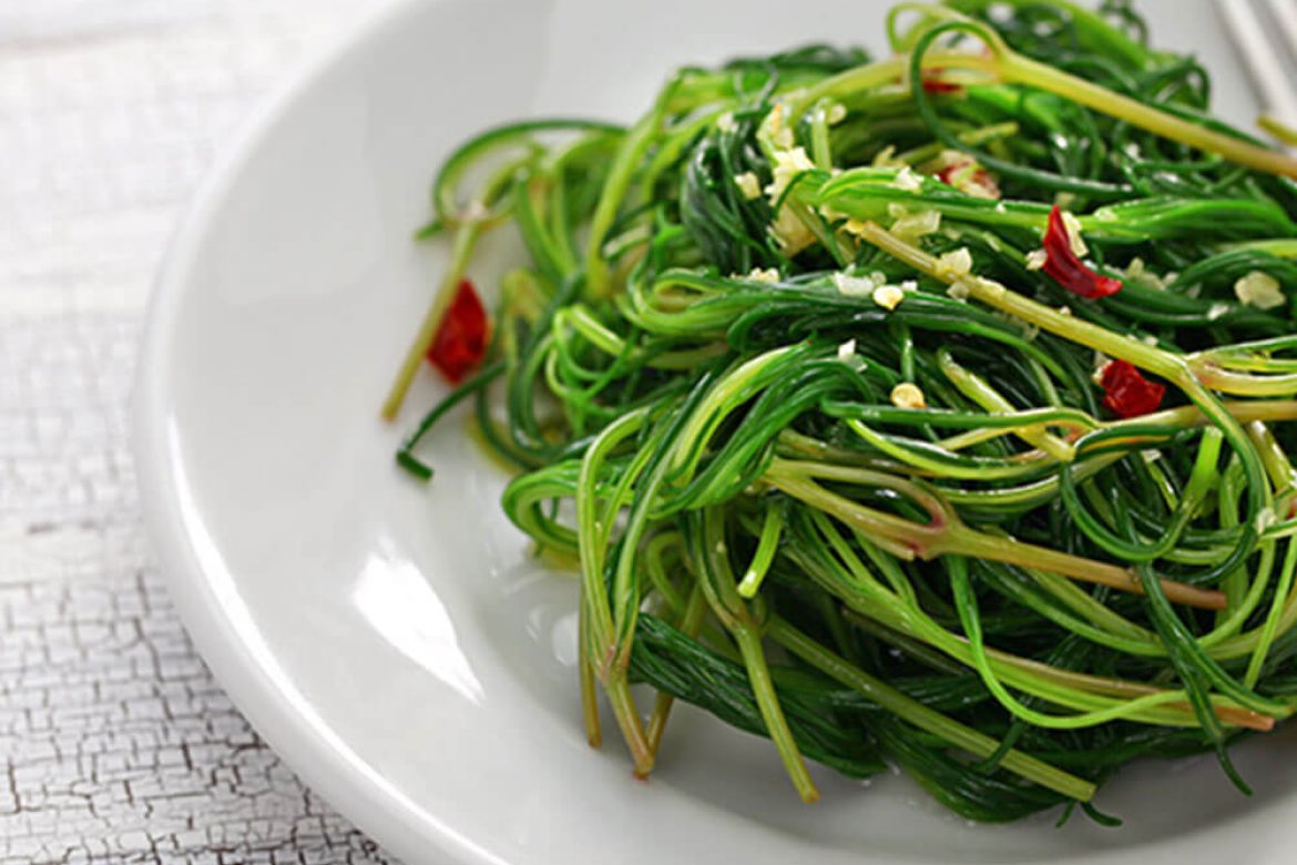blog food 2